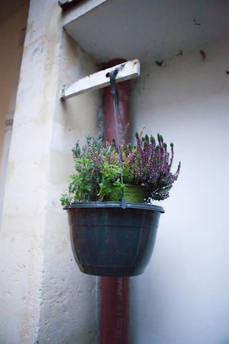Charming In A Courtyard In Appartamento Parigi
